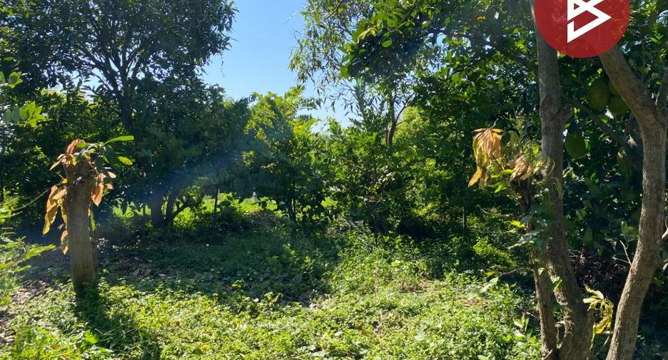 For sale land in Tha Ruea, Phra Nakhon Si Ayutthaya