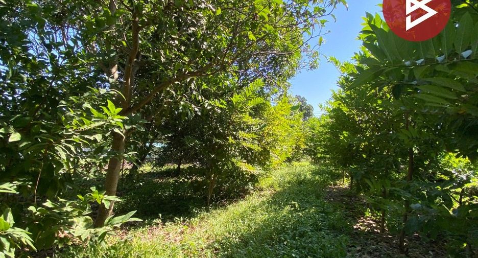 For sale land in Tha Ruea, Phra Nakhon Si Ayutthaya