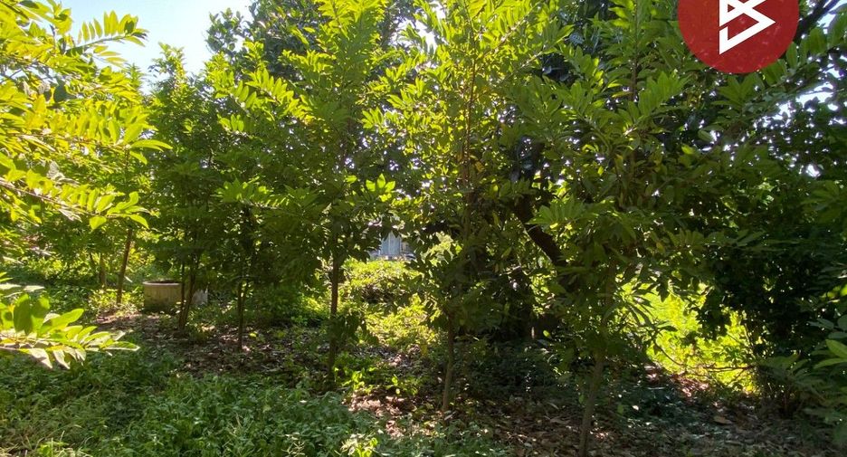 For sale land in Tha Ruea, Phra Nakhon Si Ayutthaya