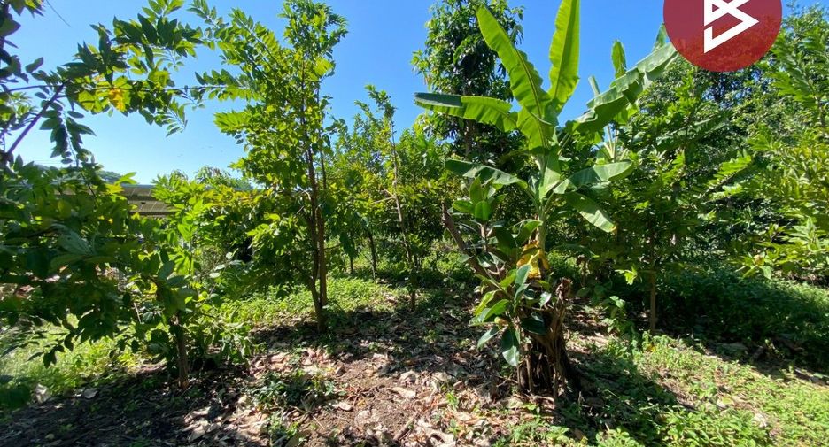 For sale land in Tha Ruea, Phra Nakhon Si Ayutthaya