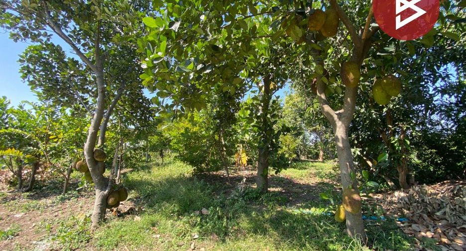 For sale land in Tha Ruea, Phra Nakhon Si Ayutthaya