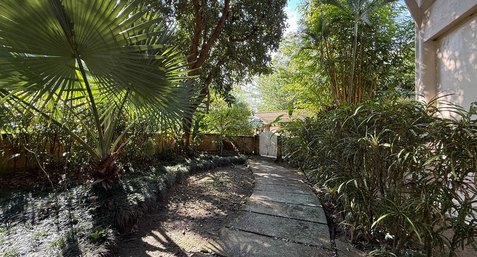 For rent 4 bedrooms villa in Mae Rim, Chiang Mai