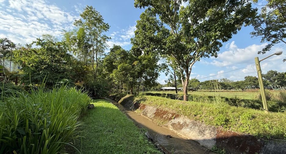 For rent 4 bedrooms villa in Mae Rim, Chiang Mai