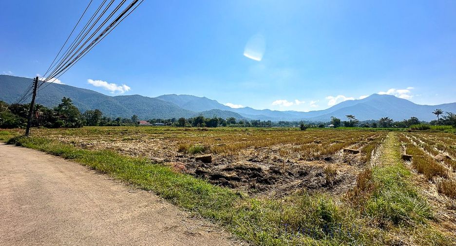 Grundstück zum Kauf in Mae On, Chiang Mai
