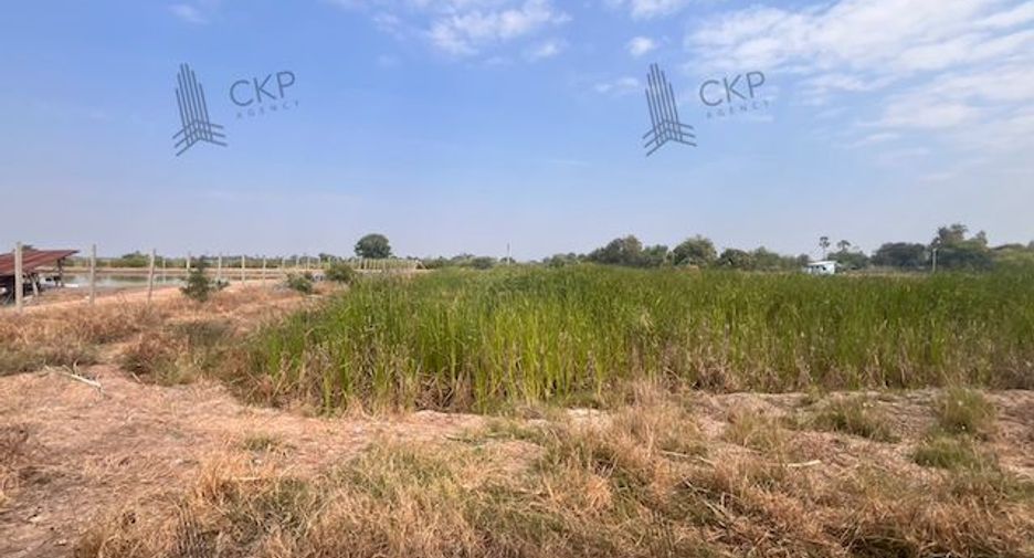 出售 土地 在 Kamphaeng Saen, Nakhon Pathom