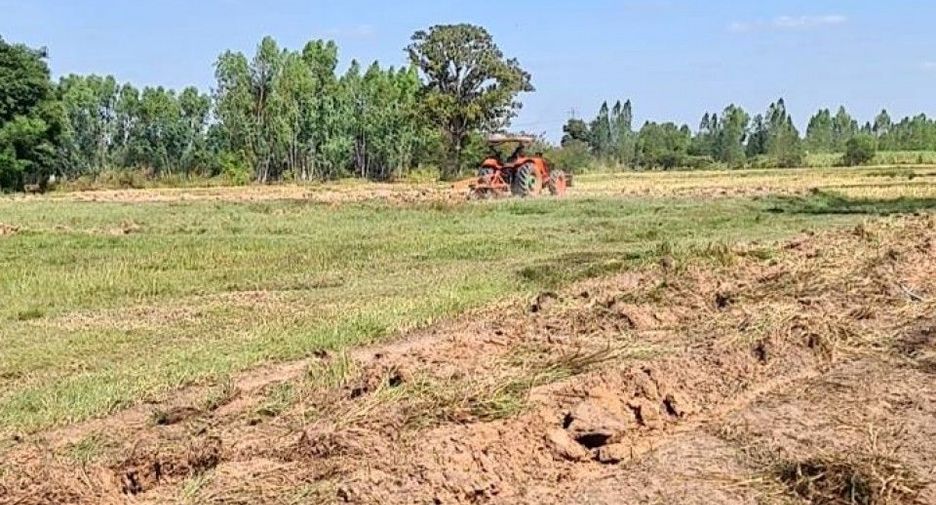 For sale land in Mueang Khon Kaen, Khon Kaen