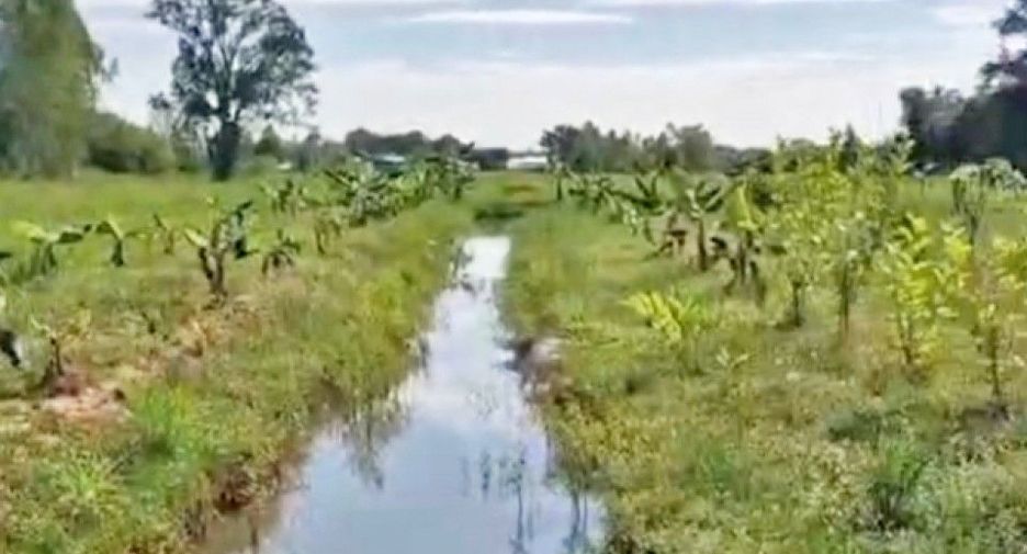 For sale land in Mueang Khon Kaen, Khon Kaen