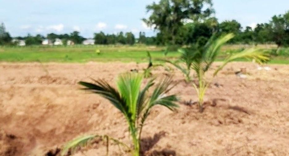 For sale land in Mueang Khon Kaen, Khon Kaen