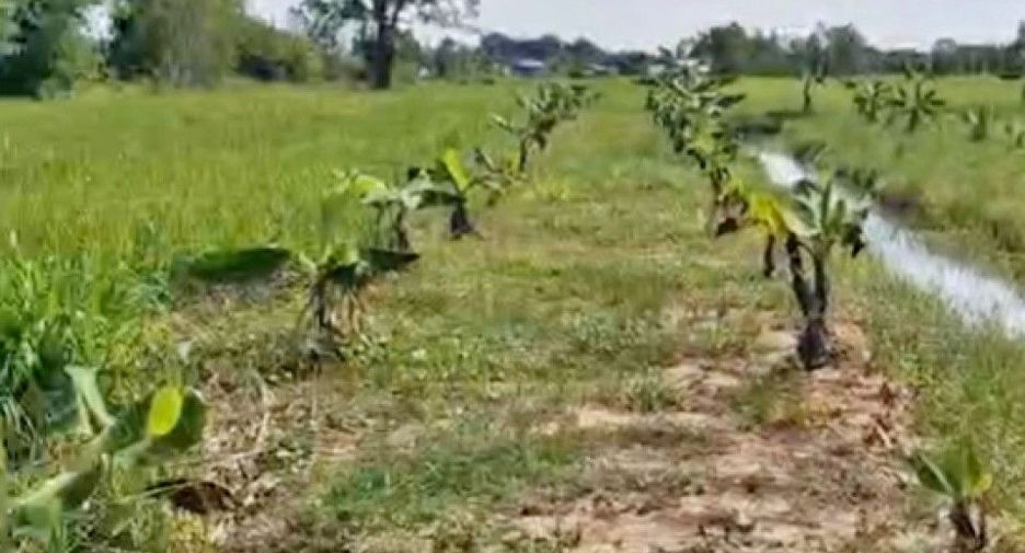 For sale land in Mueang Khon Kaen, Khon Kaen