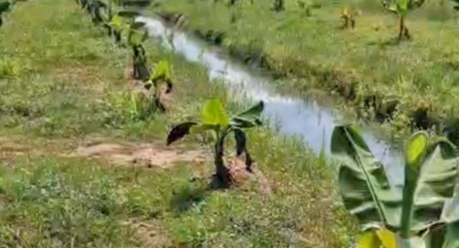 For sale land in Mueang Khon Kaen, Khon Kaen