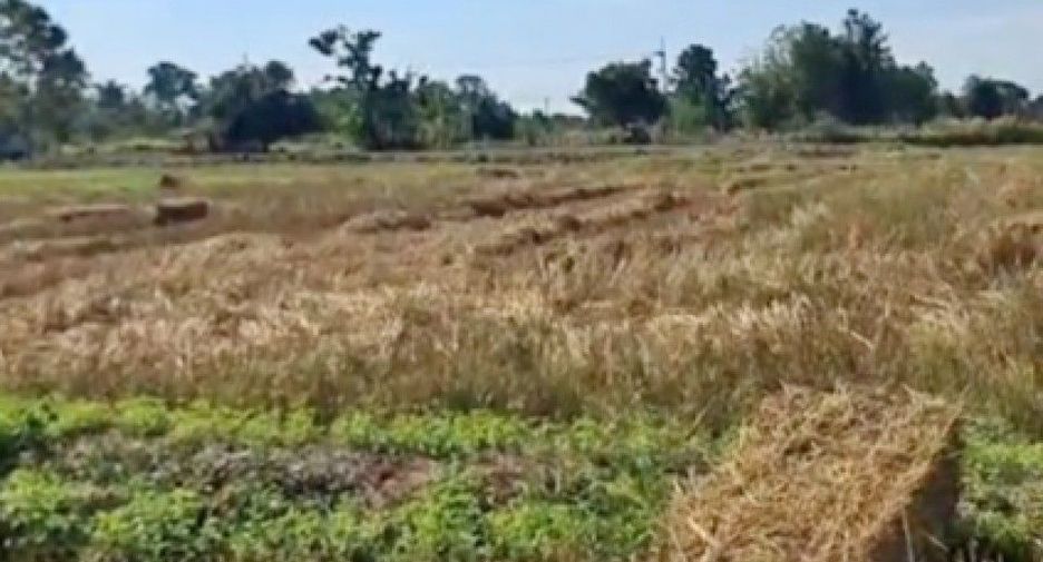 For sale land in Mueang Khon Kaen, Khon Kaen