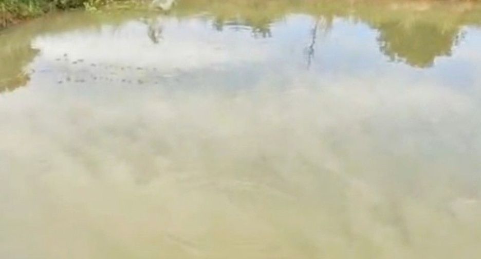 For sale land in Mueang Khon Kaen, Khon Kaen