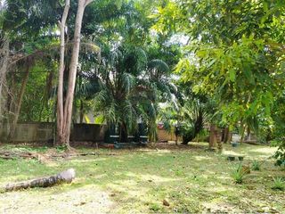 Terreno en venta en Ko Samui, Surat Thani