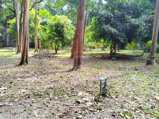 Terreno en venta en Ko Samui, Surat Thani