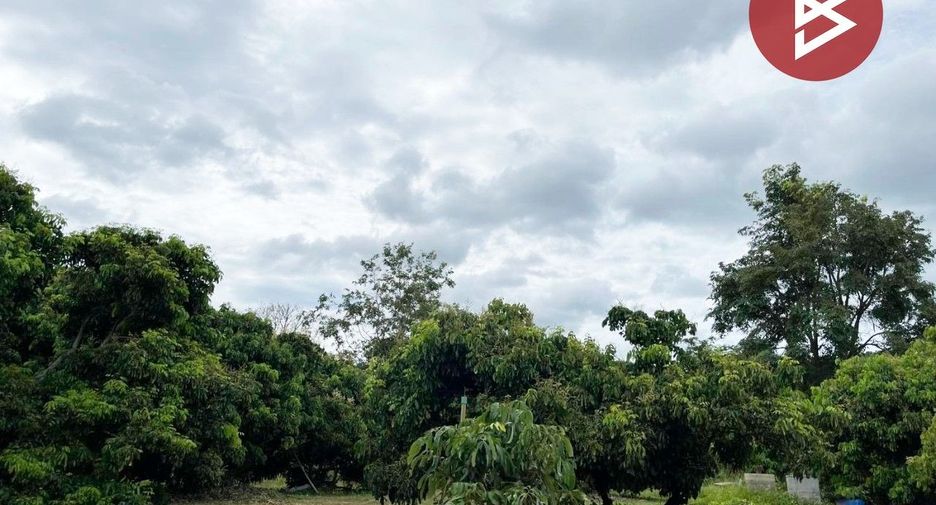 ขาย ที่ดิน ใน แม่ทา, ลำพูน