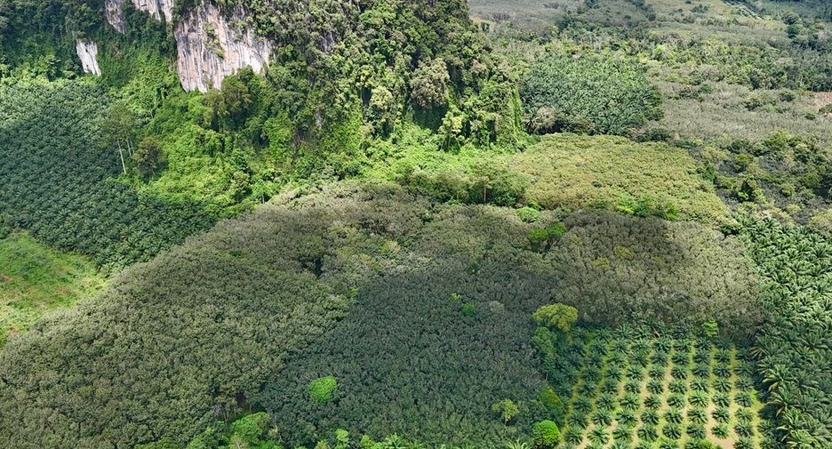 Grundstück zum Kauf in Mueang Krabi, Krabi