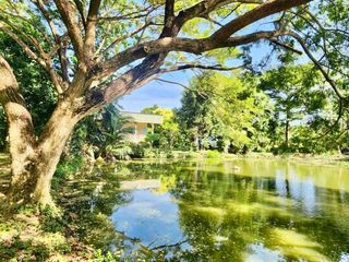 ขาย ที่ดิน ใน บางน้ำเปรี้ยว, ฉะเชิงเทรา