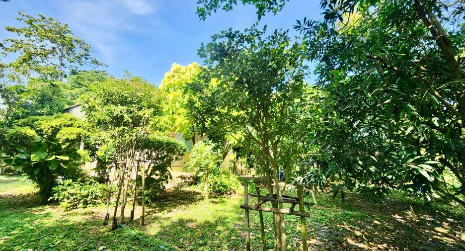 ขาย ที่ดิน ใน บางน้ำเปรี้ยว, ฉะเชิงเทรา
