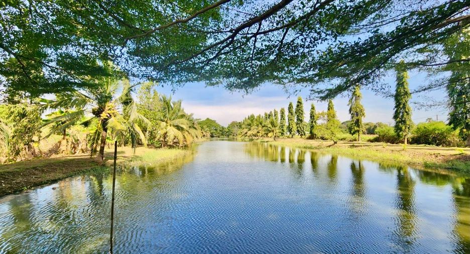 ขาย ที่ดิน ใน บางน้ำเปรี้ยว, ฉะเชิงเทรา