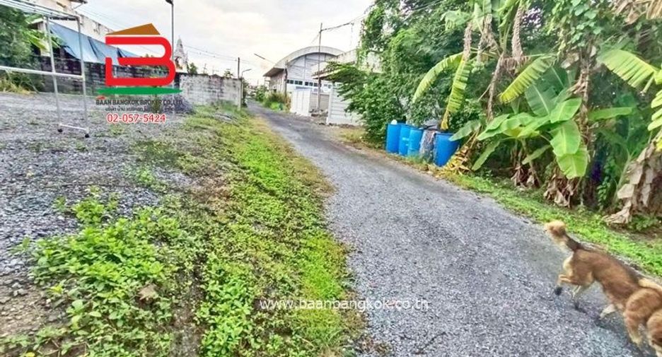 Продажа Участок в Mueang Pathum Thani, Патумтани