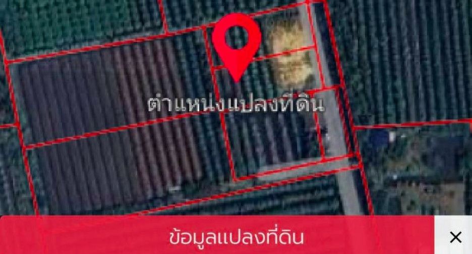 出售 土地 在 Nakhon Chai Si, Nakhon Pathom