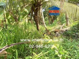 For sale land in Taling Chan, Bangkok