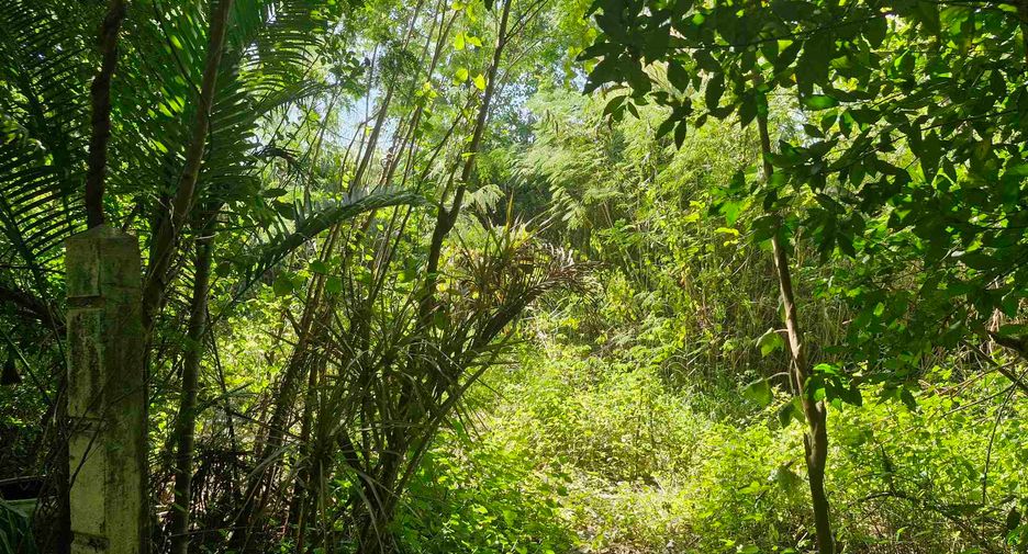 For sale land in Si Sawat, Kanchanaburi
