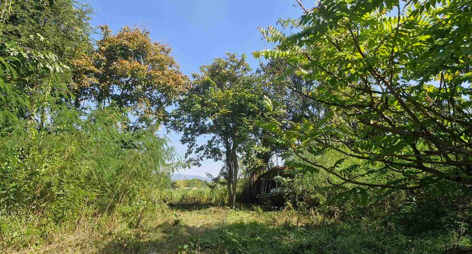 For sale land in Si Sawat, Kanchanaburi