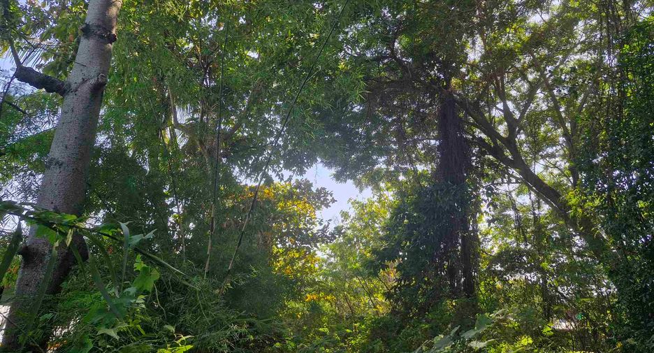 For sale land in Si Sawat, Kanchanaburi