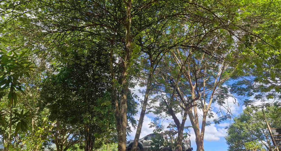 For sale land in Si Sawat, Kanchanaburi