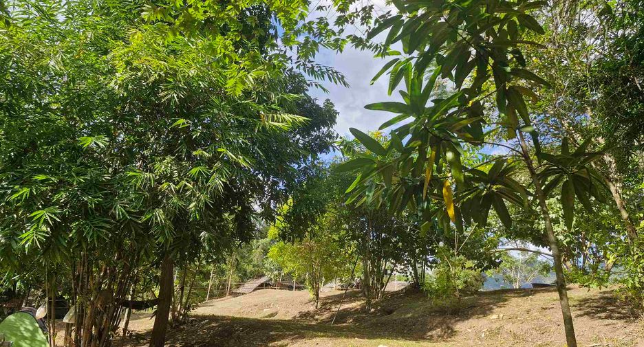 For sale land in Si Sawat, Kanchanaburi