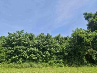 For sale land in Mueang Kanchanaburi, Kanchanaburi