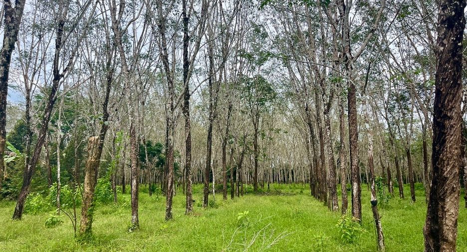 Grundstück zum Kauf in Thai Mueang, Phang Nga
