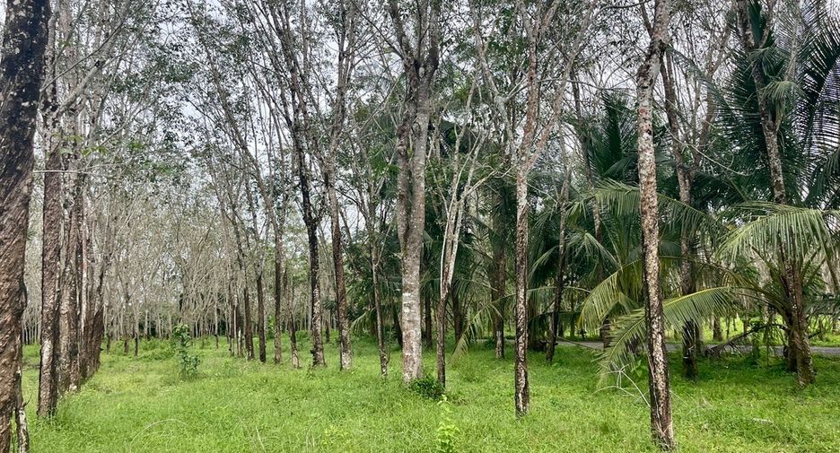 Grundstück zum Kauf in Thai Mueang, Phang Nga