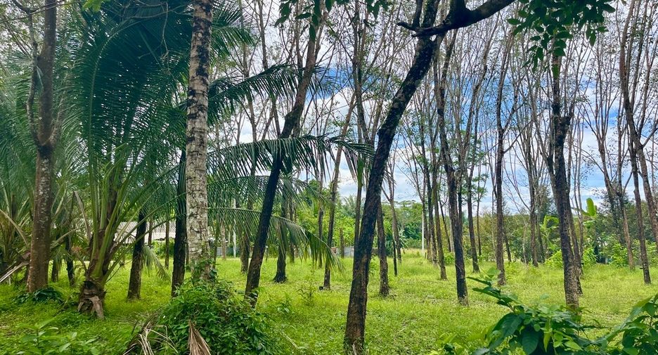 Grundstück zum Kauf in Thai Mueang, Phang Nga