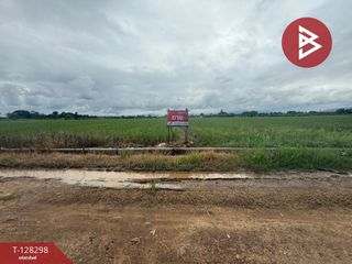 For sale land in Mae Taeng, Chiang Mai