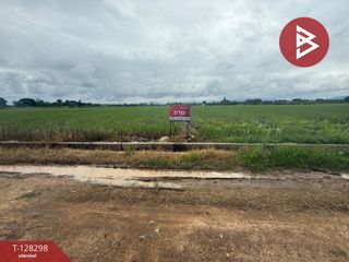 For sale land in Mae Taeng, Chiang Mai
