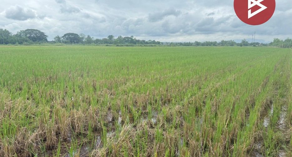 For sale land in Mae Taeng, Chiang Mai