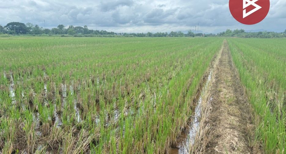 For sale land in Mae Taeng, Chiang Mai
