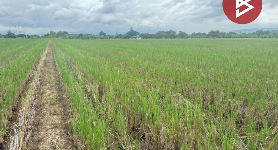 For sale land in Mae Taeng, Chiang Mai