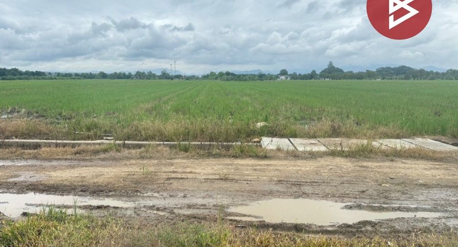 For sale land in Mae Taeng, Chiang Mai