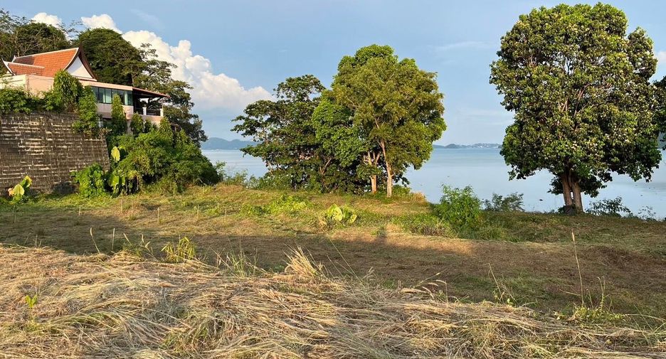 For sale land in Mueang Phuket, Phuket