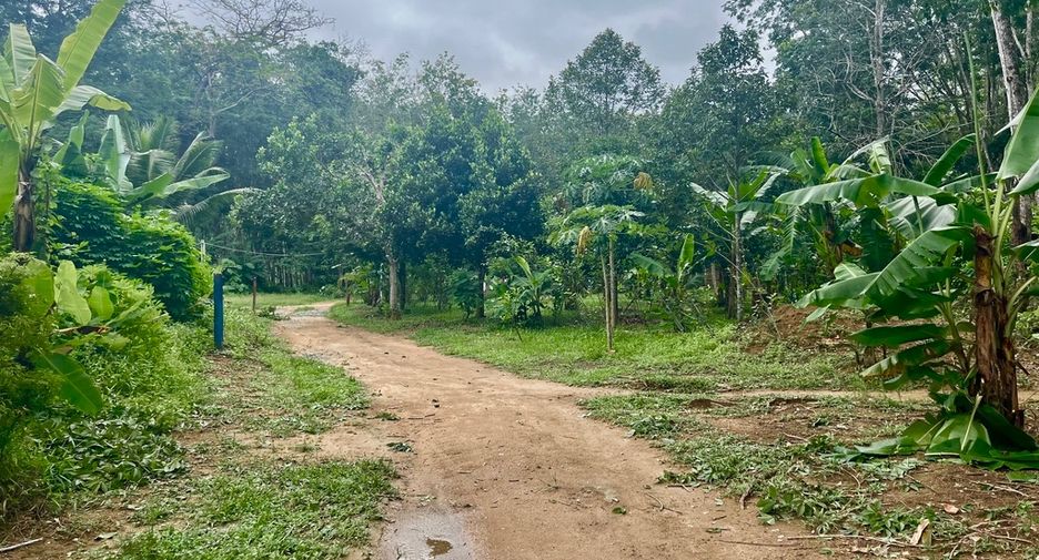 出售 土地 在 Takua Thung, Phangnga