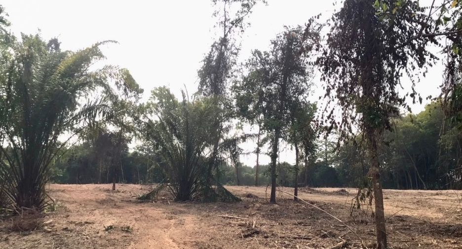 For sale land in Takua Thung, Phang Nga