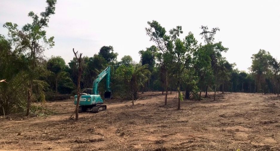 For sale land in Takua Thung, Phang Nga