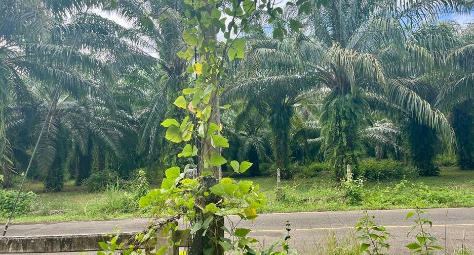 Terreno en venta en Thai Mueang, Phang Nga