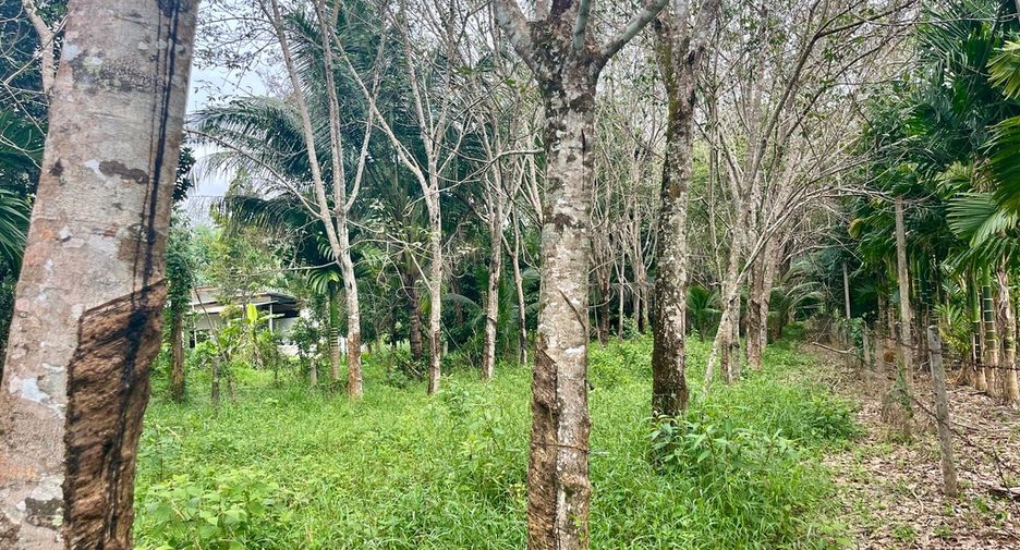 Terreno en venta en Thai Mueang, Phang Nga