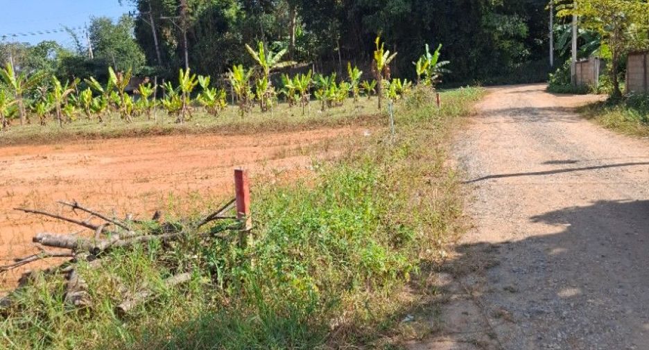 出售 土地 在 Mueang Chiang Rai, Chiang Rai
