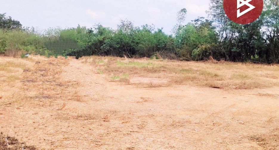 ขาย ที่ดิน ใน หนองไผ่, เพชรบูรณ์