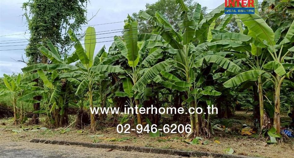 For sale land in Khlong Sam Wa, Bangkok